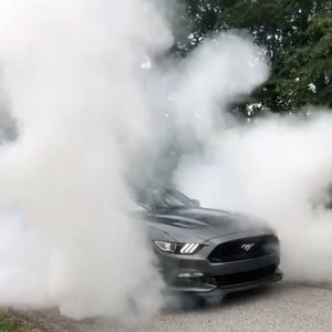 Meet your Posher, Zachary